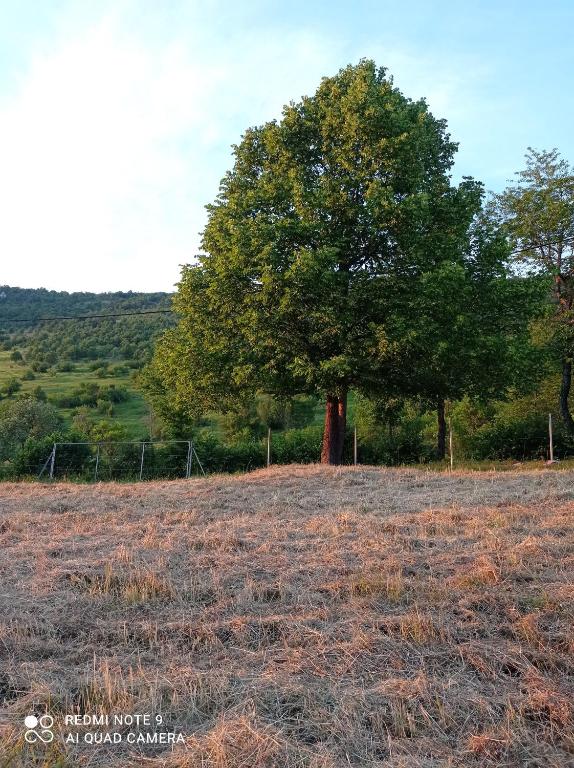 Príroda v okolí apartmánu
