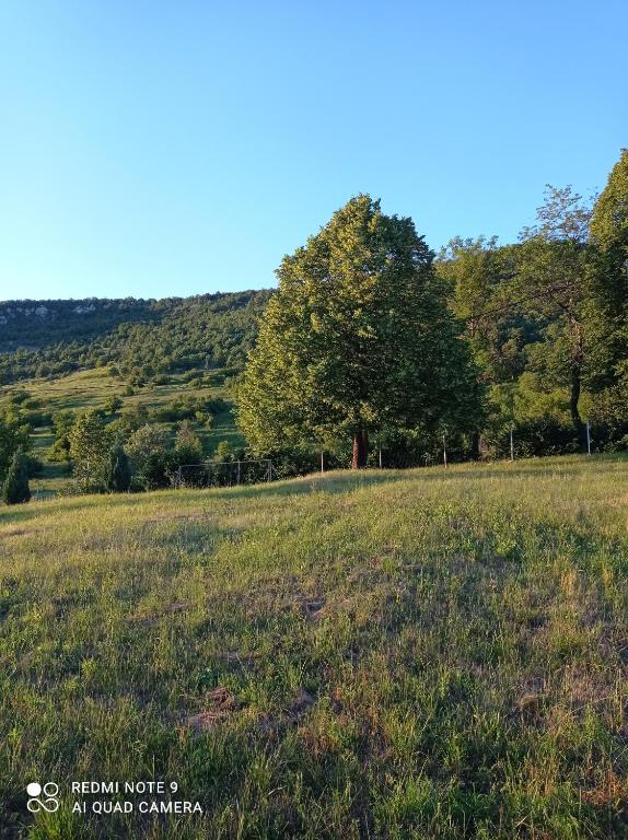 Príroda v okolí apartmánu