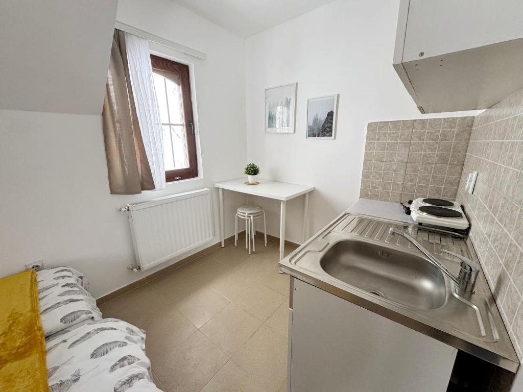 Fotografie z fotogalerie ubytování Vila Aurora , 50m od Gondole Brzece v destinaci Brzeće