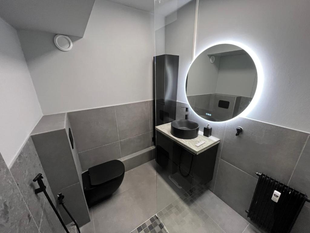 ein Badezimmer mit Waschbecken und Spiegel in der Unterkunft Appartement avec jacuzzi proche du centre in Straßburg