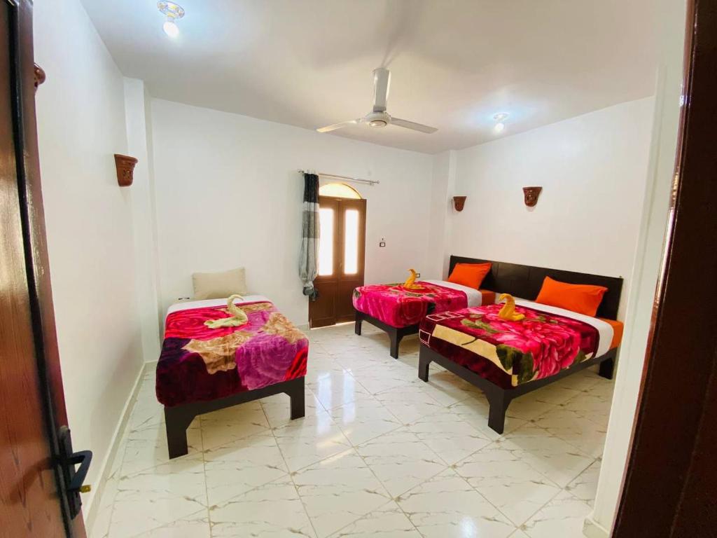 Letto o letti in una camera di sunset guest house