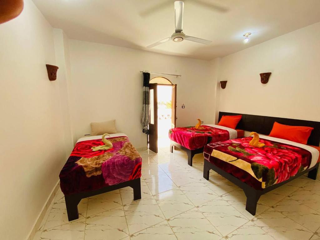 Letto o letti in una camera di sunset guest house