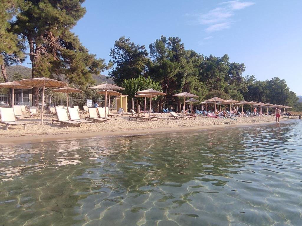 un groupe de chaises et de parasols sur une plage dans l'établissement Magic House in Thassos Island Scala Rachoni, à Blagoevgrad