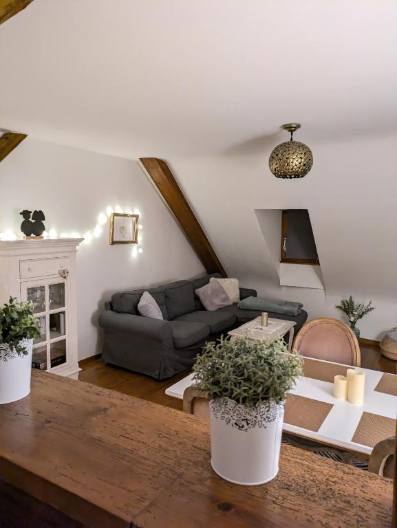 Les Toits de Turckheim – photo 26
