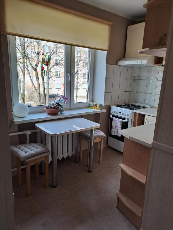 Kuchyň nebo kuchyňský kout v ubytování Felicia studio