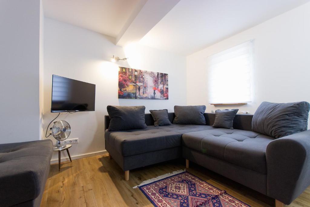 a living room with a couch and a flat screen tv at Citystudio 3 Rosenburgblick in Moselnähe in Zeltingen-Rachtig