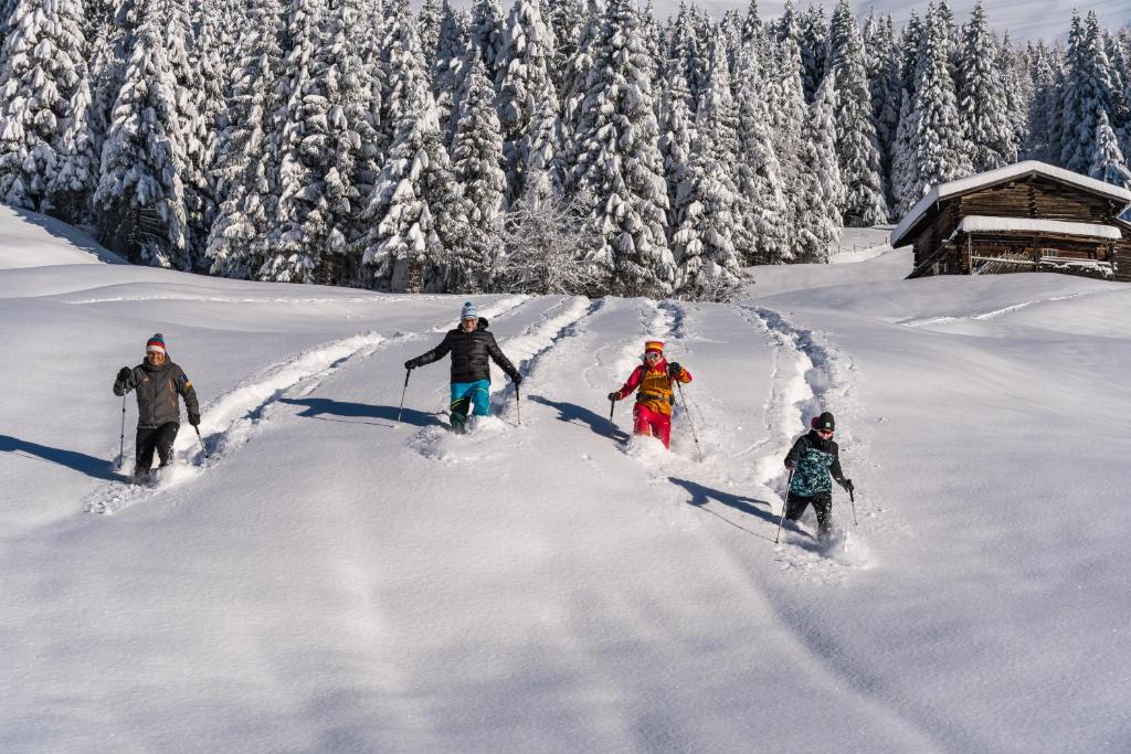 Natur- & Wanderhotel Tuxertal v zime