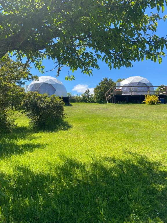Zahrada ubytování Milenaria Glamping