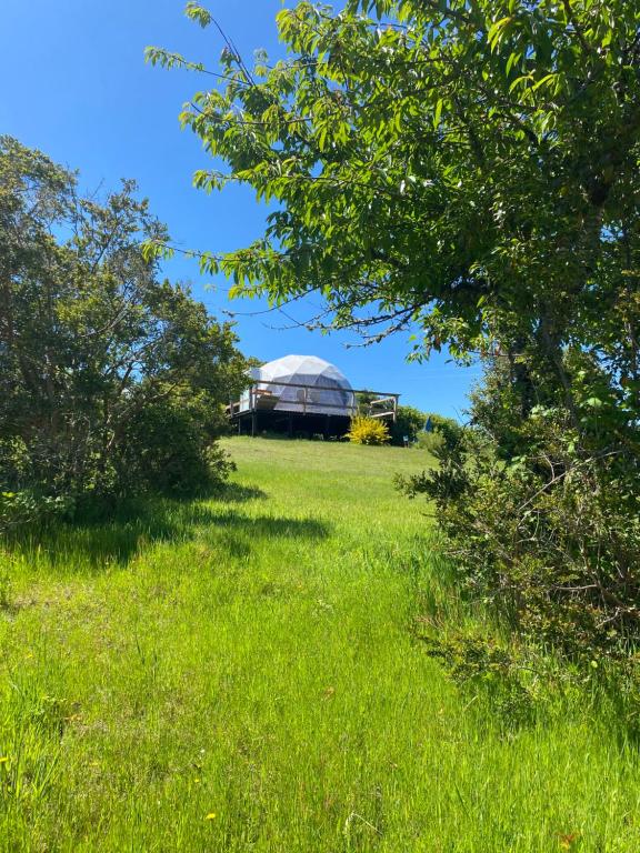 Příroda nedaleko luxury tent