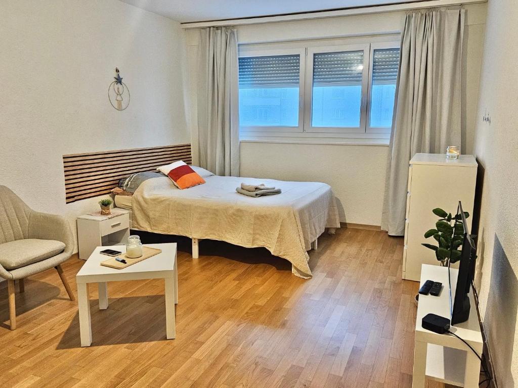 Fotografie z fotogalerie ubytování Fribourg Apartments Studio v destinaci Fribourg