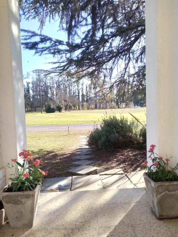 a porch with two potted plants and a view of a field at Casa Club en el Náutico Timón in Luján