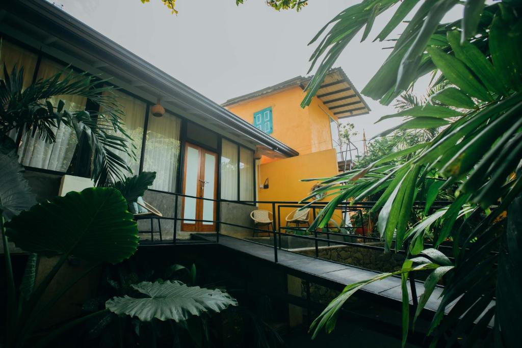 Zahrada ubytování Boho Jungle Studios