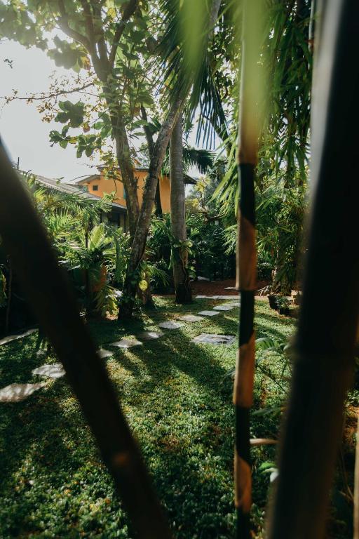 Zahrada ubytování Boho Jungle Studios