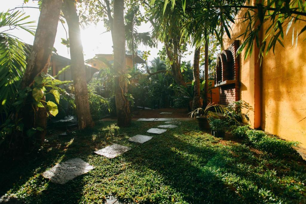 Zahrada ubytování Boho Jungle Studios
