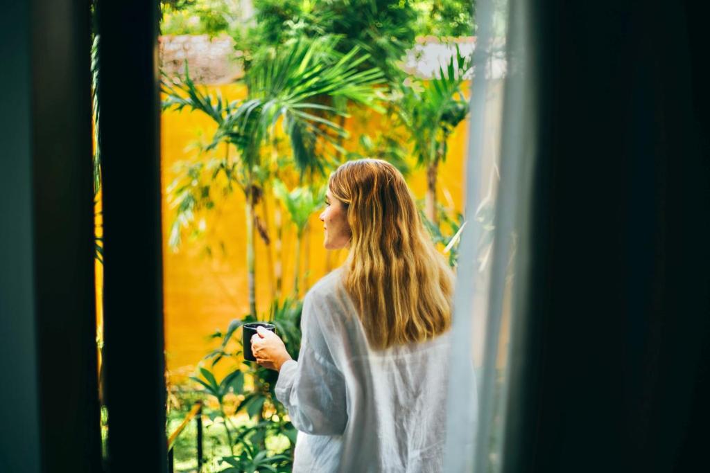 Hosté ubytování Boho Jungle Studios