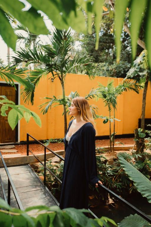 Hosté ubytování Boho Jungle Studios