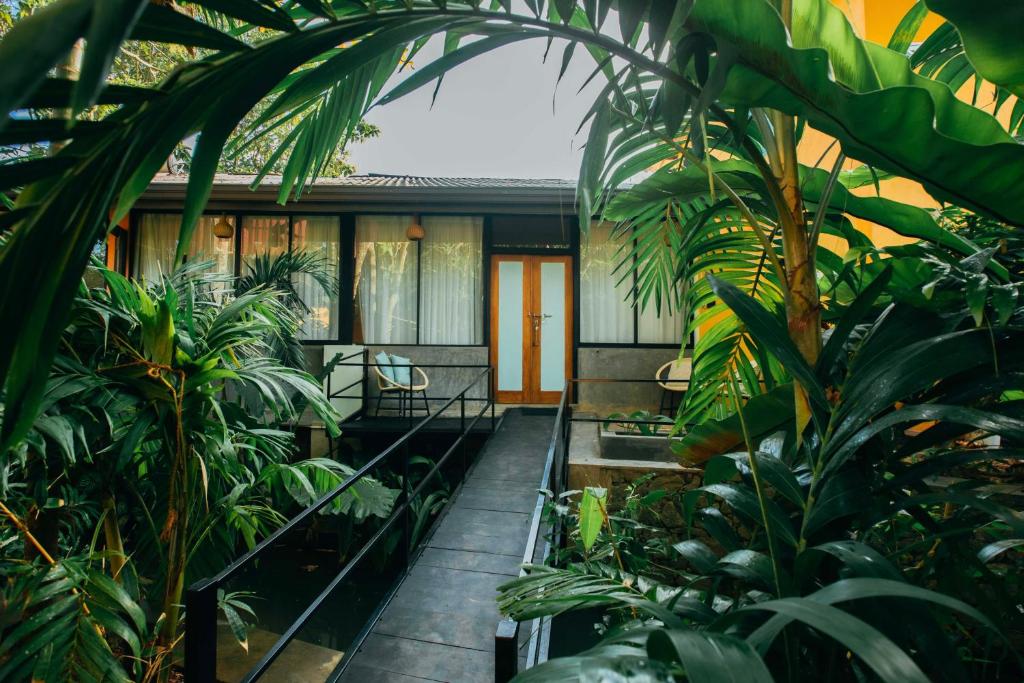 Zahrada ubytování Boho Jungle Studios