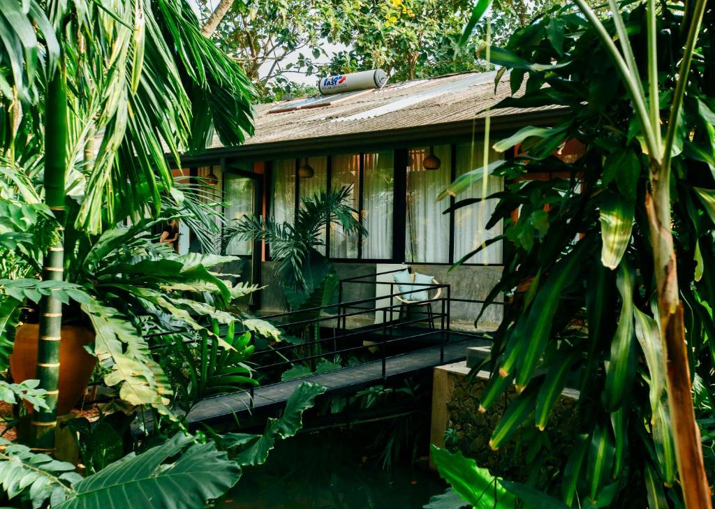 Zahrada ubytování Boho Jungle Studios