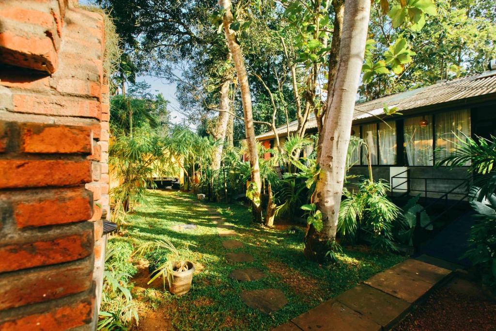 Zahrada ubytování Boho Jungle Studios