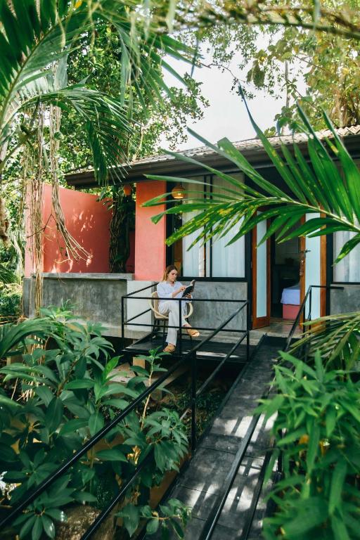Zahrada ubytování Boho Jungle Studios