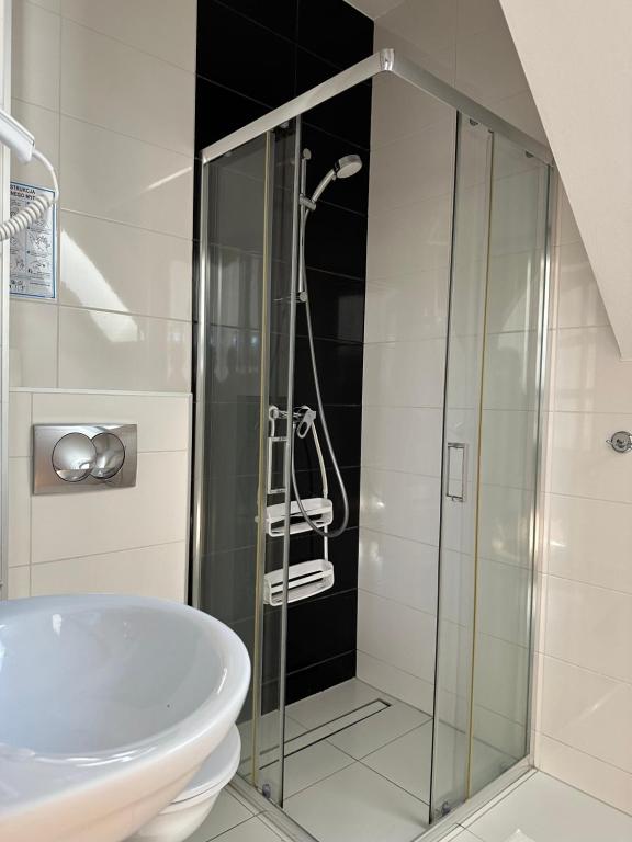 bagno con doccia in vetro e lavandino di Willa Aurinia a Szczawnica