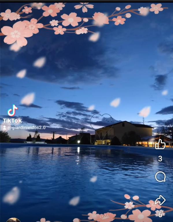 a view of a pool with pink flowers on the water at I Giardini Di Eidos in Sant'Agata de' Goti