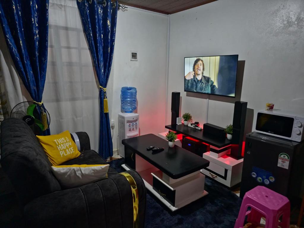 TV a/nebo společenská místnost v ubytování Lukemanbnb Luxury Studio