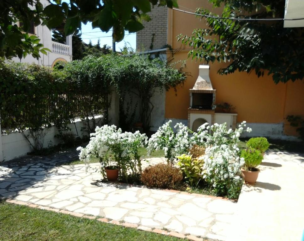 a garden with white flowers in front of a building at Dimitris Studios Acharavi Corfu in Acharavi