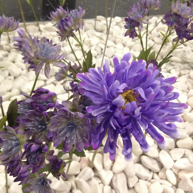 Lisbon City Apartments & Suites by City Hotels - Resim 43