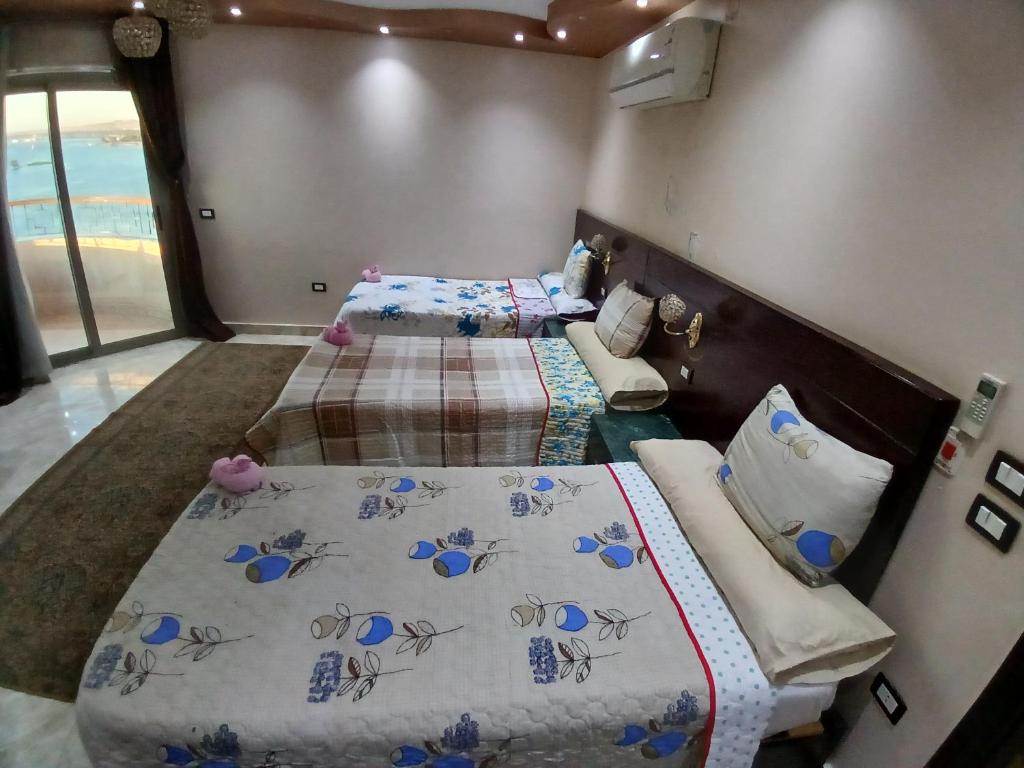 Fotografie z fotogalerie ubytování Monty private room apartment v destinaci Asuán