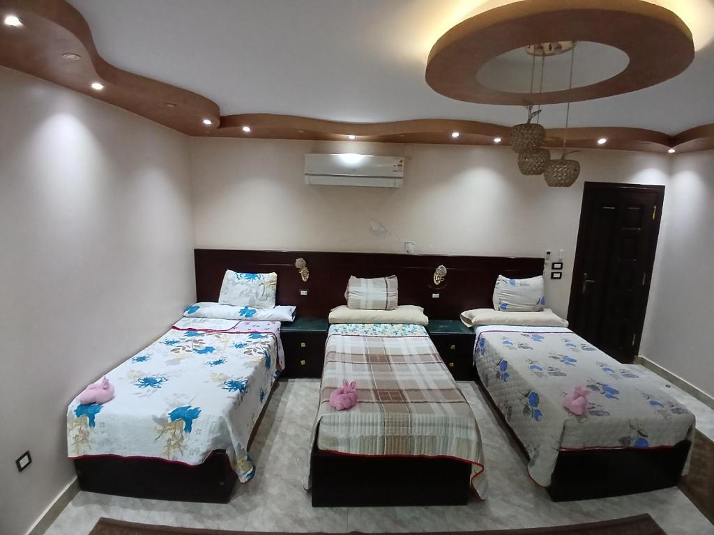 Fotografie z fotogalerie ubytování Monty private room apartment v destinaci Asuán