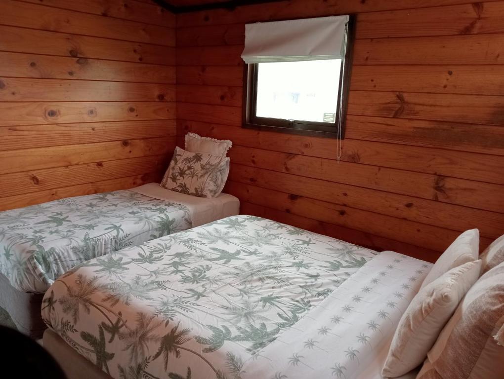 Cosy n Central Rotorua 2BR Entire House & Studio -summer only - Resim 15