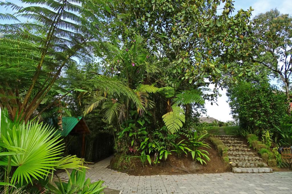 Zahrada ubytování Terrabambu Lodge