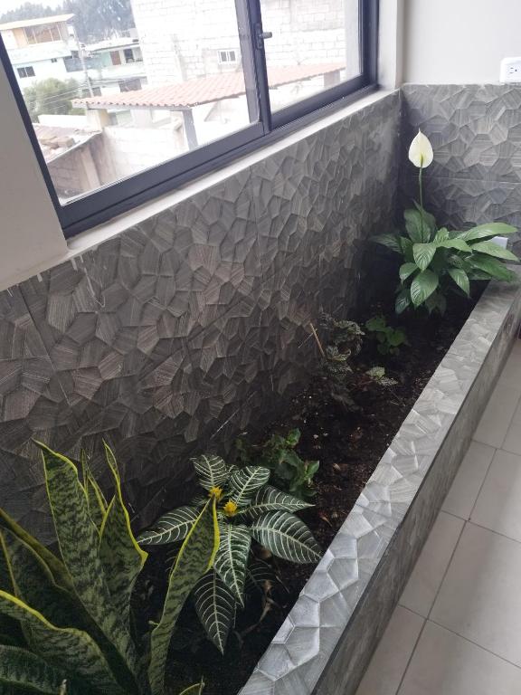 Fotografie z fotogalerie ubytování Hostal Terranova Quitumbe v destinaci Quito