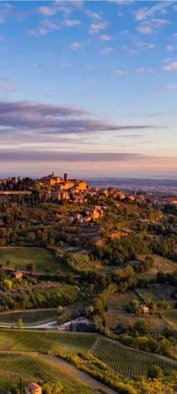 una vista aérea de una pequeña ciudad en un campo en Appartamento Panoramico, en Montepulciano