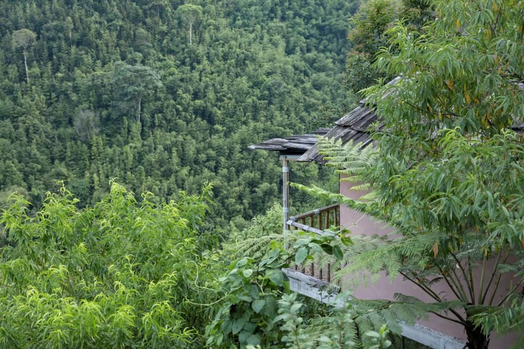 Pu Hmong Eco Retreat - 2