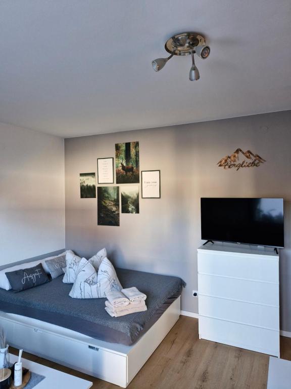 a living room with a bed and a flat screen tv at Apartment mit Garten in Bad Lauterberg