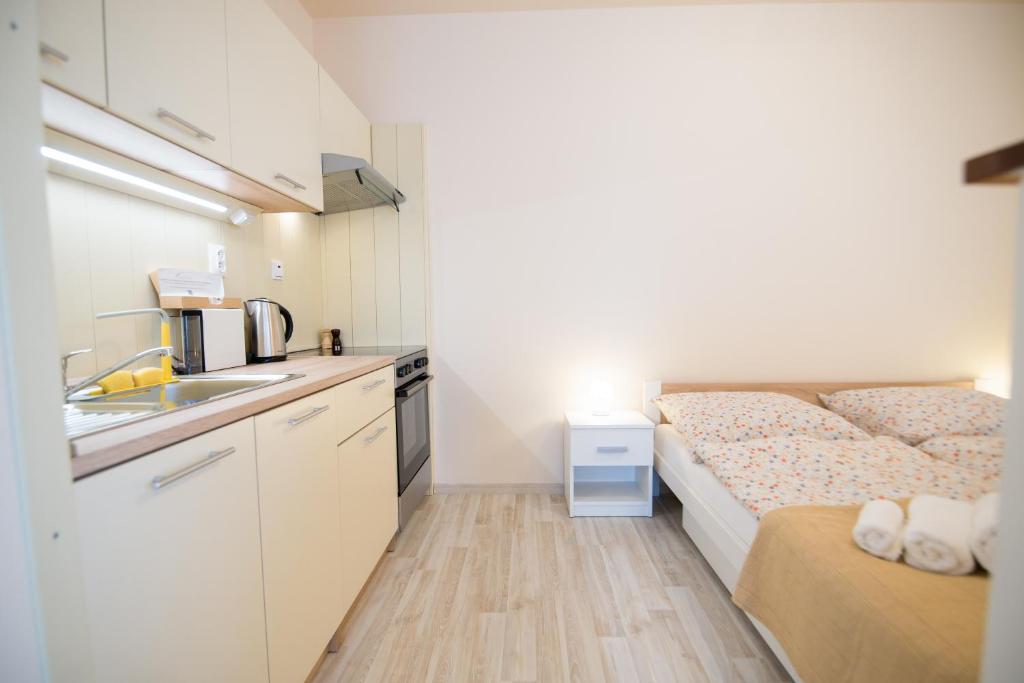 Kuchyň nebo kuchyňský kout v ubytování New Cosy Apartment, close to TATRALANDIA and JASNA, parking