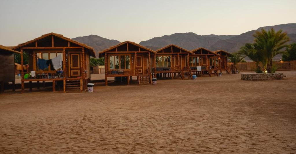 Fotografie z fotogalerie ubytování Queen Swer v destinaci Nuweiba‘ el Muzeinah