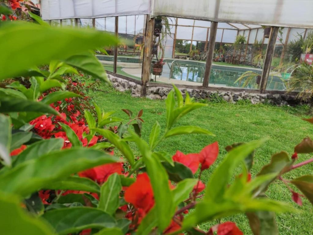 Zahrada ubytování Hostería Las Orquídeas