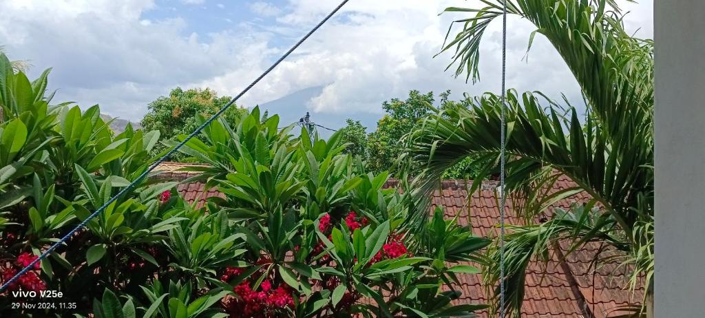 Lumbung Sari Home Stay - Habitación Doble De Lujo Con Balcón