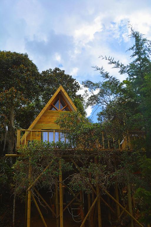 a log cabin in the woods with trees at Cabaña Madre Selva in San Vicente