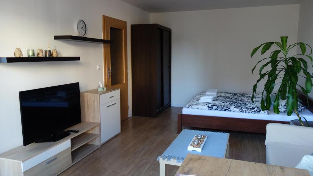 Kuchyň nebo kuchyňský kout v ubytování Apartmán Apaya
