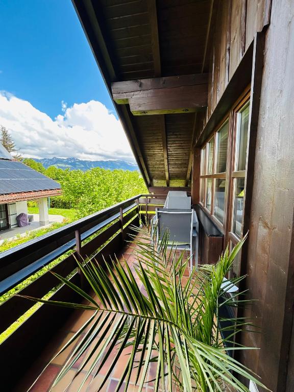 a balcony of a house with a palm plant at BerglerNest - Apartment mit Bergblick! in Bihlerdorf