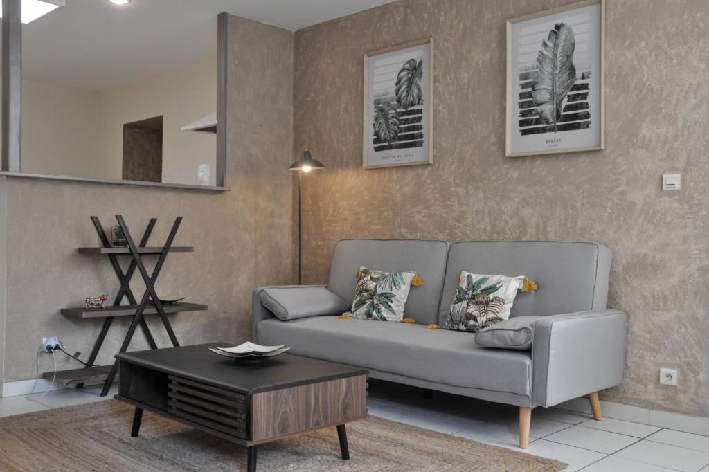 un salon avec un canapé et une table basse dans l'établissement T2 Le paradis 2, wifi, 3pers, 2lits parking a 100m, à Agen