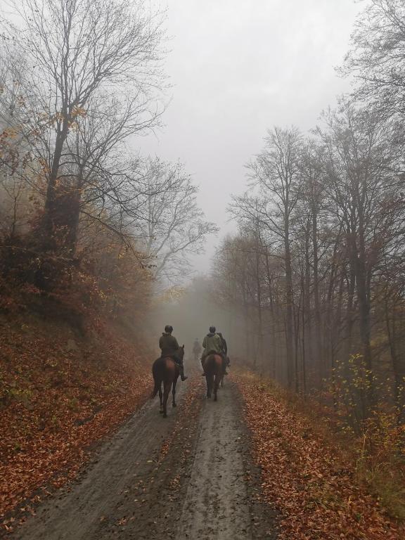 Hosté ubytování Domek Trohaniec Leśny