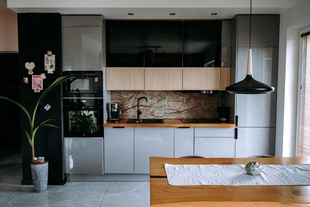 Kuchyňa alebo kuchynka v ubytovaní Apartament Madlen Art