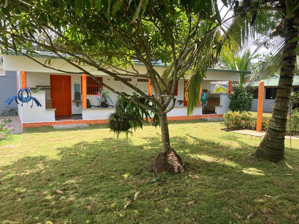 Donde Andres en la Playa