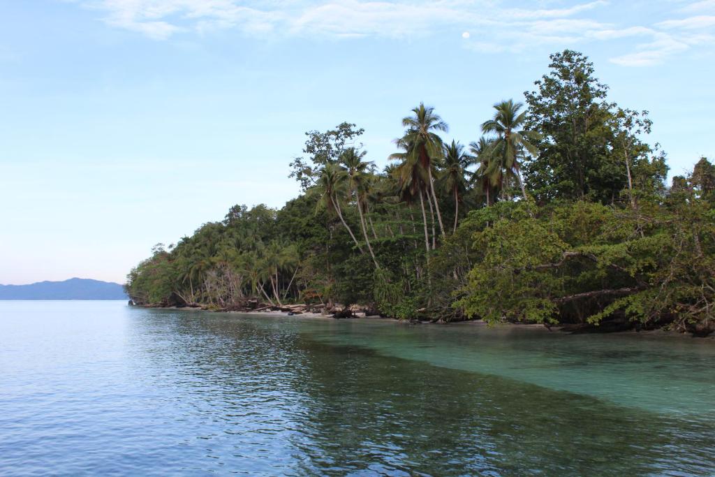 a small island in the middle of the water at Scuba Republic Beach Bungalows in Tapokreng