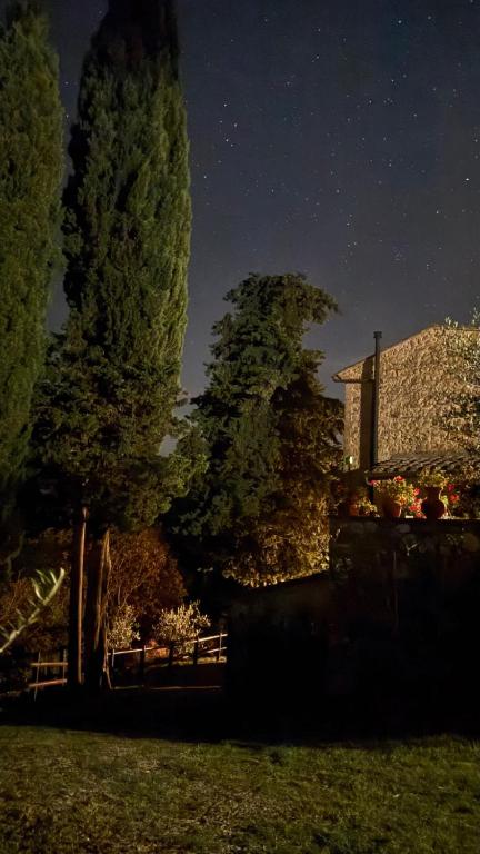 Zahrada ubytování Rocca degli Olivi
